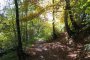 Der Balver Wald, wandern in mitten der Natur.  Auf meist gut angelegten Wegen ist der Balver Wald ein schönes Wandergebiet mit guter Fernsicht.